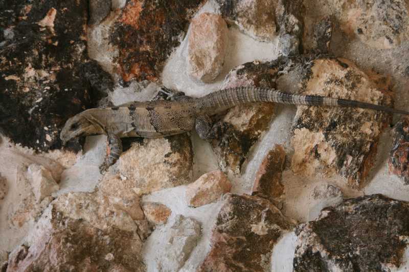 Mexico & Guatemala 2010 - 0174